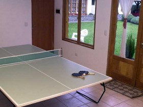 pingpong+